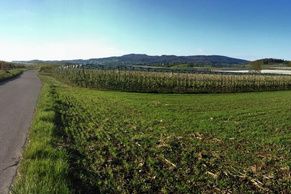 Wesser-Erfahrungen-Lauramemorable