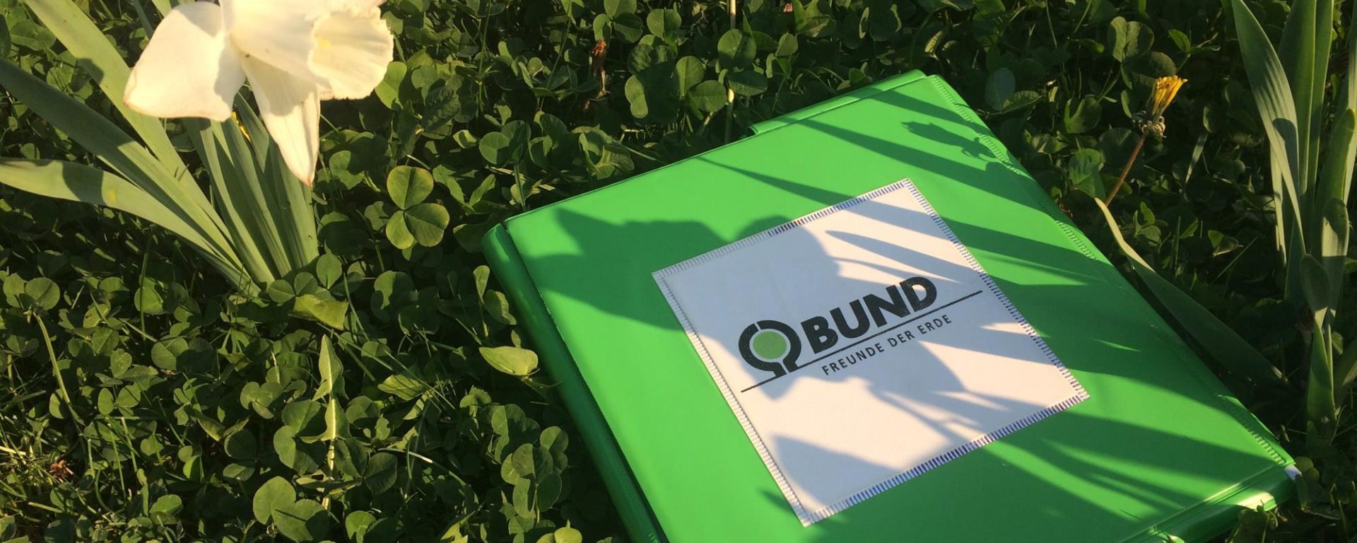 Wesser-Erfahrungen-Lauramemorable