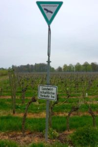 Wesser-Erfahrungen-Lauramemorable