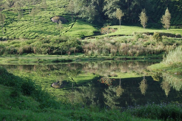 Scout-Vera-Meinert-3